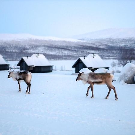 Arctic Land Adventure Glass Igloos Kilpisjarvi Exterior photo